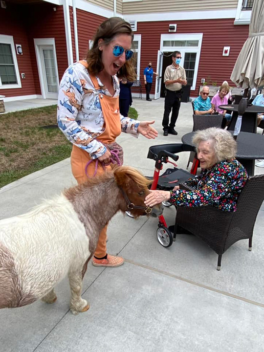 donkey visit